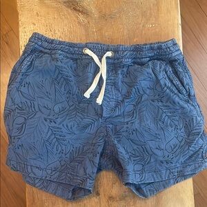 Marine Layer Saturday Short